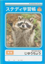 123734 B