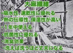153771 B