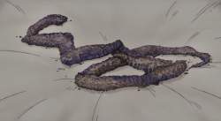 156376 B