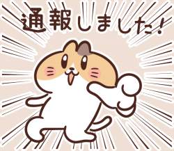 79797 B
