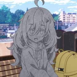 255567 B
