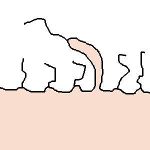 5069 B