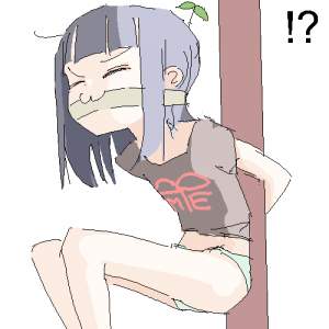 24339 B