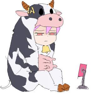24545 B