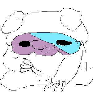 6562 B