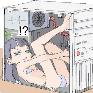 39531 B
