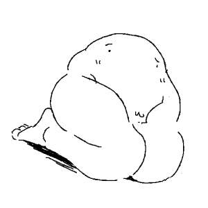 7467 B