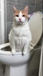 2937829 B