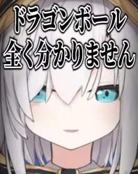 46355 B